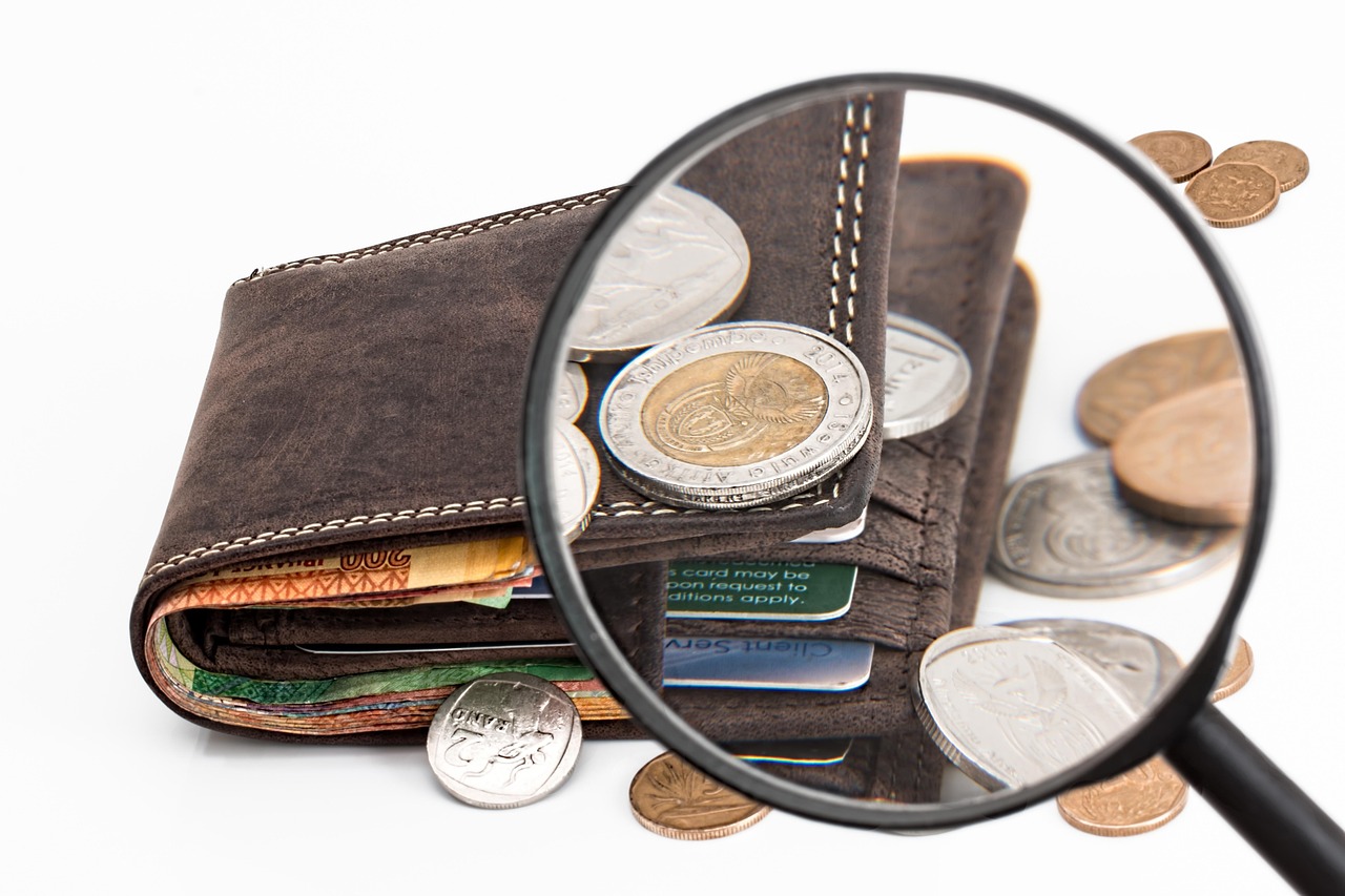 wallet, coins, magnifying glass, credit card, cash, investment, money, financial, finance, commerce, wealth, payment, currency, increase, budget, savings, banking, purchase, banknote, coin, wallet, wallet, money, money, money, money, money, finance, payment, budget, budget, budget, budget