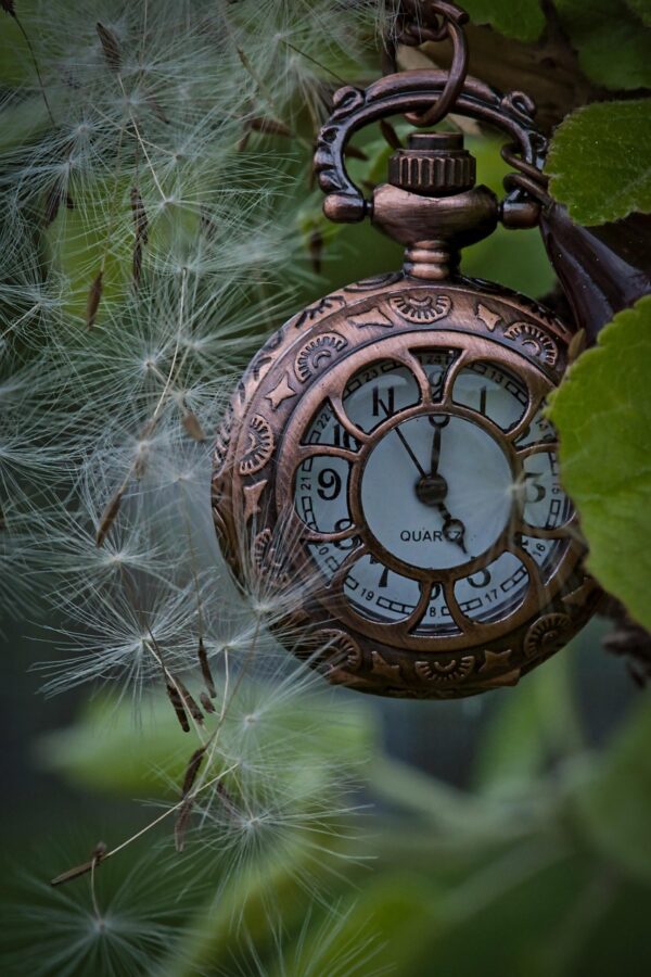 TIME WEALTH (FREEDOM)
