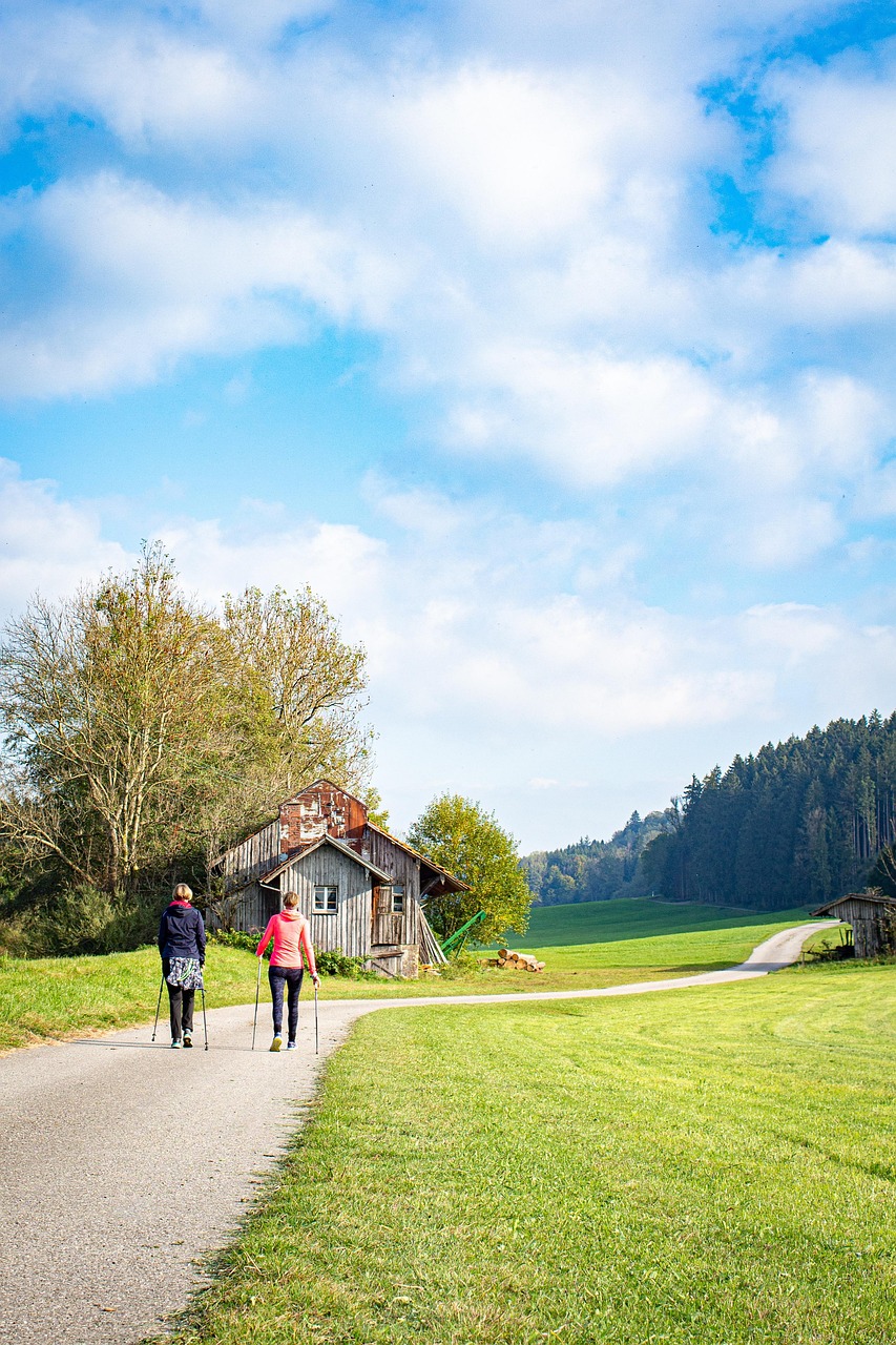 nordic walking, sports, fitness, training, outdoors, exercise, park, physical activity, nordic walking, nordic walking, nordic walking, nordic walking, nordic walking, physical activity