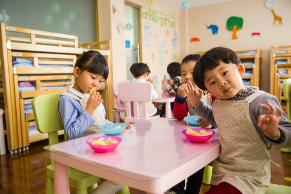 Development of educational programs or curricula?