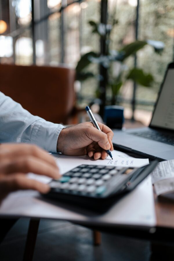 REVENUE PLANNING IN PUBLIC FINANCE