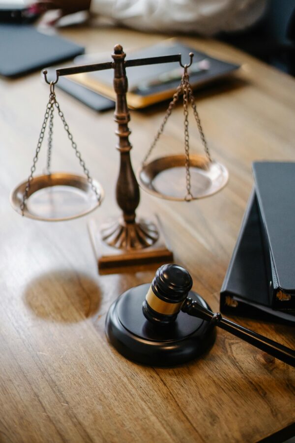 LEGAL AND INSTITUTIONAL CONTEXT