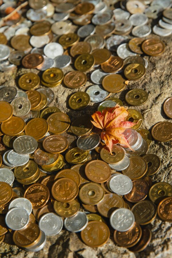 OBJECTIVE OF FINANCIAL POLICY NGO